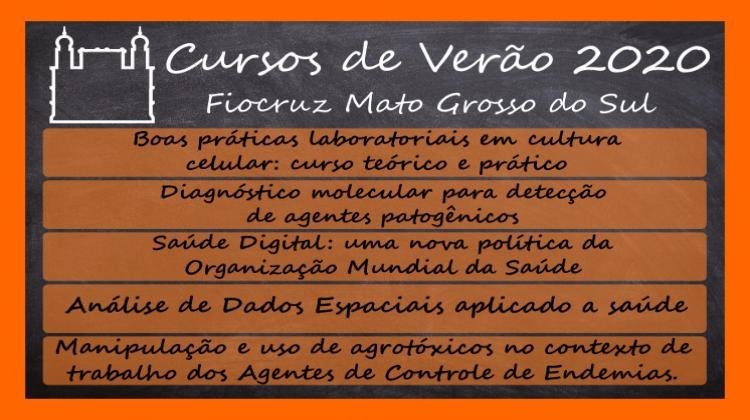 Cursos de Verão