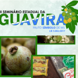 Evento Guavira